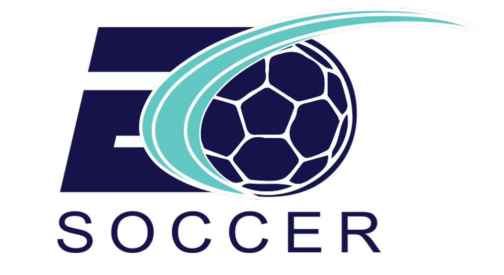 Partner/Sponsor logo